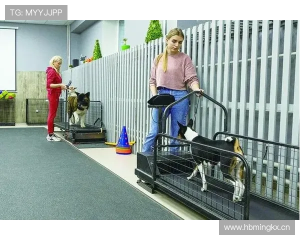 万狗体育：引领宠物运动新时代的创新平台