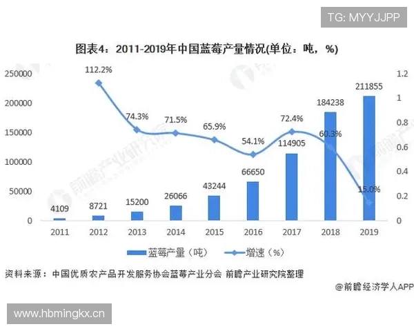 尊宝体育：分析其品牌建设与市场推广的成功经验与未来发展方向