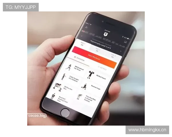 OD体育登陆优化界面设计，提升用户操作便捷性与体验感