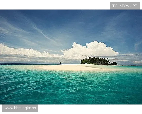半岛官方手机版全面上线，带你体验最真实的海岛冒险乐趣