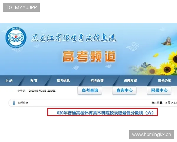 竞博体育登录线路常见问题及解决方案，保障你的体育娱乐无忧